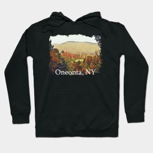 Oneonta NY Adirondack Hill and Valley Hoodie